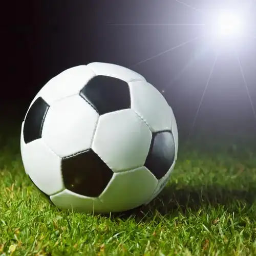 足球预测软件使用流程示意图